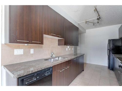 102-2316 17B Street Sw, Calgary, AB - Indoor Photo Showing Kitchen With Double Sink