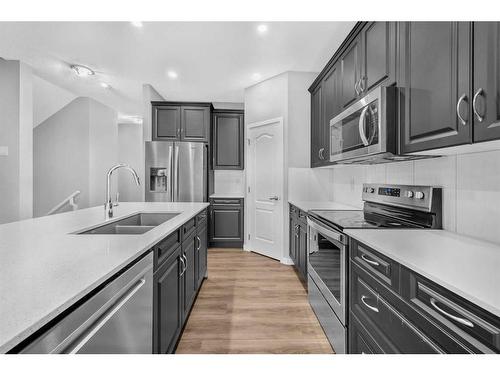 99 Red Embers Terrace Ne, Calgary, AB - Indoor Photo Showing Kitchen With Double Sink With Upgraded Kitchen