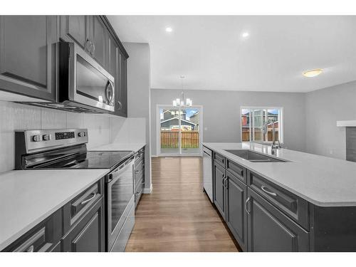 99 Red Embers Terrace Ne, Calgary, AB - Indoor Photo Showing Kitchen With Double Sink