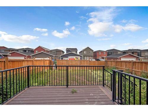 99 Red Embers Terrace Ne, Calgary, AB - Outdoor