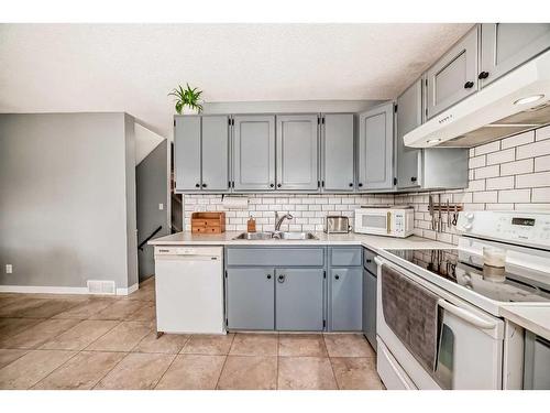 3114 51 Street Sw, Calgary, AB - Indoor Photo Showing Kitchen With Double Sink
