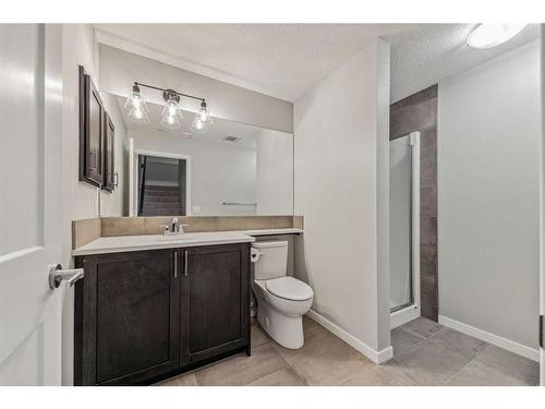 41 Howse Mount Ne, Calgary, AB - Indoor Photo Showing Bathroom