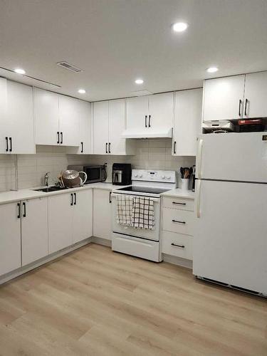 167 Whitman Place Ne, Calgary, AB - Indoor Photo Showing Kitchen With Double Sink