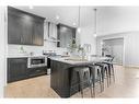 43 Herron Rise Ne, Calgary, AB  - Indoor Photo Showing Kitchen With Upgraded Kitchen 