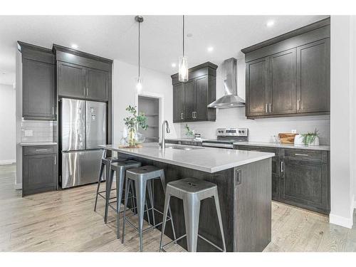 43 Herron Rise Ne, Calgary, AB - Indoor Photo Showing Kitchen With Stainless Steel Kitchen With Upgraded Kitchen