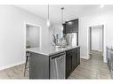 43 Herron Rise Ne, Calgary, AB  - Indoor Photo Showing Kitchen With Upgraded Kitchen 