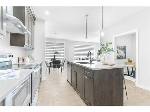 43 Herron Rise Ne, Calgary, AB - Indoor Photo Showing Kitchen With Upgraded Kitchen