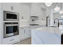 1141 Richland Road Ne, Calgary, AB  - Indoor Photo Showing Kitchen With Upgraded Kitchen 