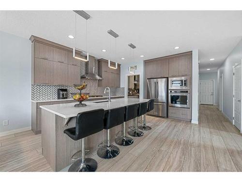 224 Red Sky Way Ne, Calgary, AB - Indoor Photo Showing Kitchen With Stainless Steel Kitchen With Upgraded Kitchen