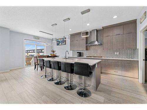 224 Red Sky Way Ne, Calgary, AB - Indoor Photo Showing Kitchen With Upgraded Kitchen