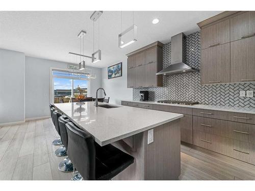 224 Red Sky Way Ne, Calgary, AB - Indoor Photo Showing Kitchen With Upgraded Kitchen