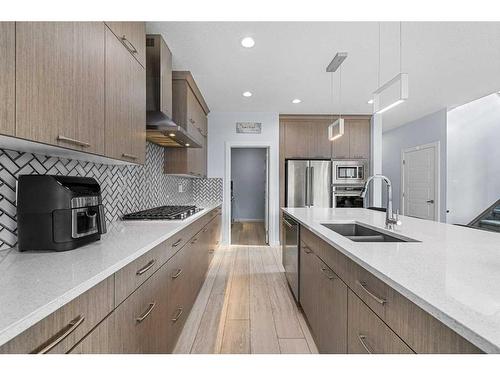 224 Red Sky Way Ne, Calgary, AB - Indoor Photo Showing Kitchen With Stainless Steel Kitchen With Double Sink With Upgraded Kitchen