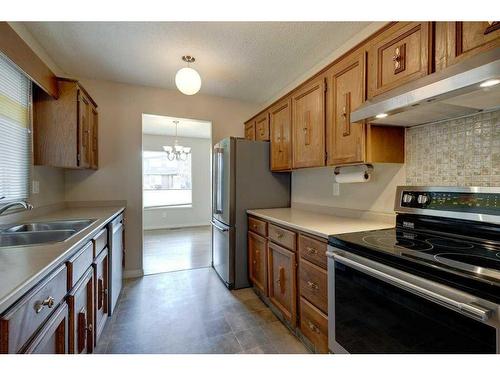 252 Parkside Way Se, Calgary, AB - Indoor Photo Showing Kitchen With Double Sink