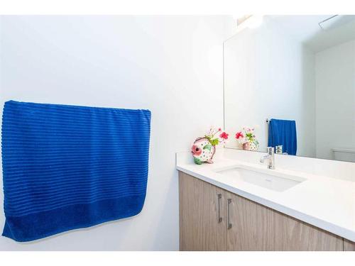 328 Copperhead Way Se, Calgary, AB - Indoor Photo Showing Bathroom