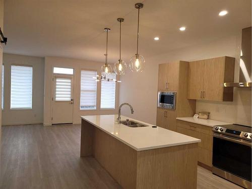 328 Copperhead Way Se, Calgary, AB - Indoor Photo Showing Kitchen With Double Sink With Upgraded Kitchen