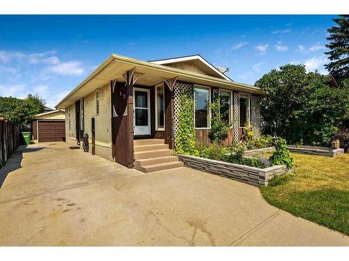 12 Big Springs Crescent Se, Airdrie, AB - Outdoor