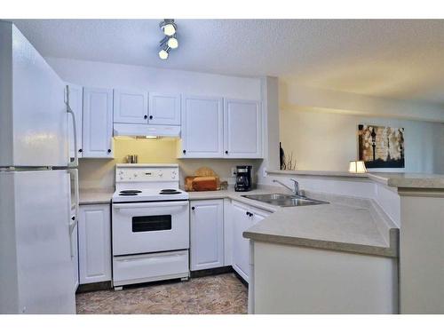 103-3000 Citadel Meadow Point Nw, Calgary, AB - Indoor Photo Showing Kitchen With Double Sink