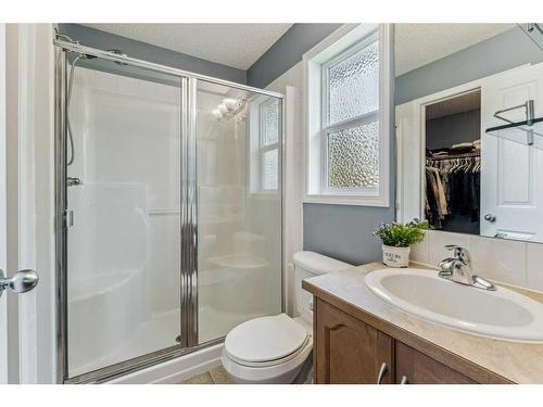 195 West Creek Landing, Chestermere, AB - Indoor Photo Showing Bathroom