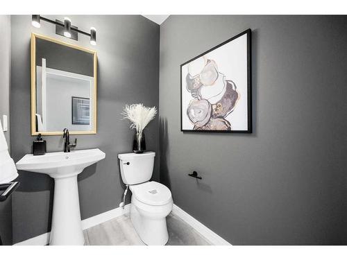 16225-Hamilton Heights Mews, Rural Foothills County, AB - Indoor Photo Showing Bathroom