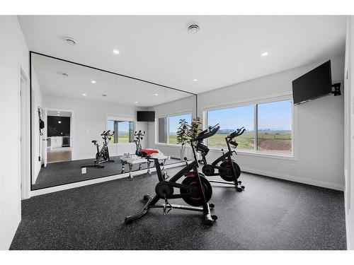 16225-Hamilton Heights Mews, Rural Foothills County, AB - Indoor Photo Showing Gym Room