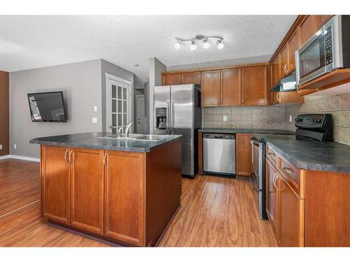 81 Royal Elm Road Nw, Calgary, AB - Indoor Photo Showing Kitchen With Double Sink