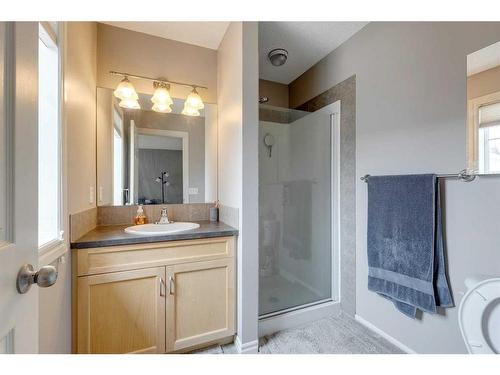 219-371 Marina Drive, Chestermere, AB - Indoor Photo Showing Bathroom