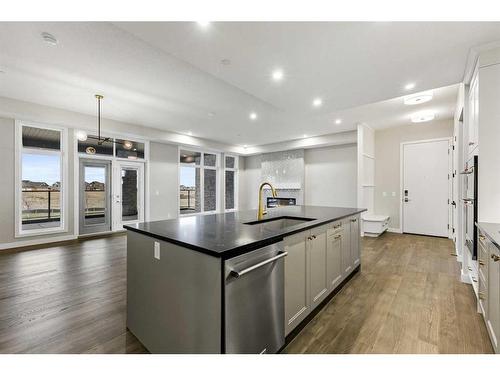 201-120 Marina Cove Se, Calgary, AB - Indoor Photo Showing Kitchen With Upgraded Kitchen