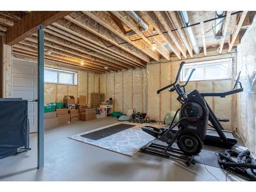 14 Howse Mount Ne, Calgary, AB - Indoor Photo Showing Basement