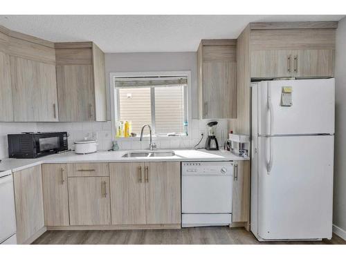 228 Martinvalley Crescent Ne, Calgary, AB - Indoor Photo Showing Kitchen With Double Sink