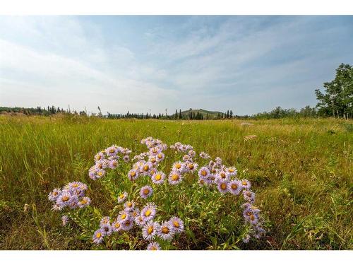 300 16Th Avenue Sw, Rural Foothills County, AB 