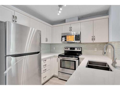 205-102 Cranberry Park Se, Calgary, AB - Indoor Photo Showing Kitchen With Double Sink With Upgraded Kitchen