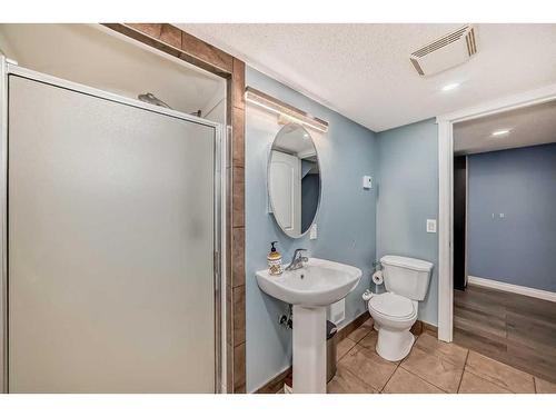 344 West Creek Boulevard, Chestermere, AB - Indoor Photo Showing Bathroom