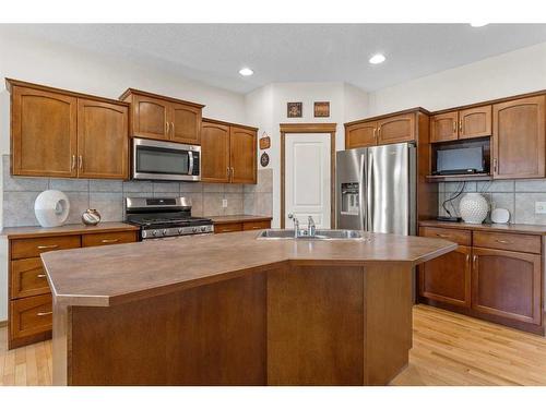 68 Cranfield Gardens Se, Calgary, AB - Indoor Photo Showing Kitchen With Double Sink