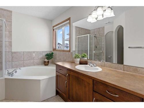 68 Cranfield Gardens Se, Calgary, AB - Indoor Photo Showing Bathroom