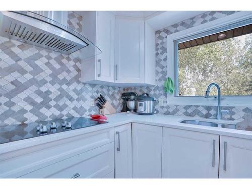 42 Lake Ere Estates, Chestermere, AB - Indoor Photo Showing Kitchen With Double Sink