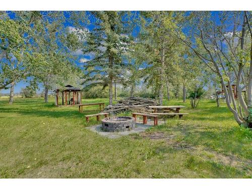 42 Lake Ere Estates, Chestermere, AB - Outdoor With View