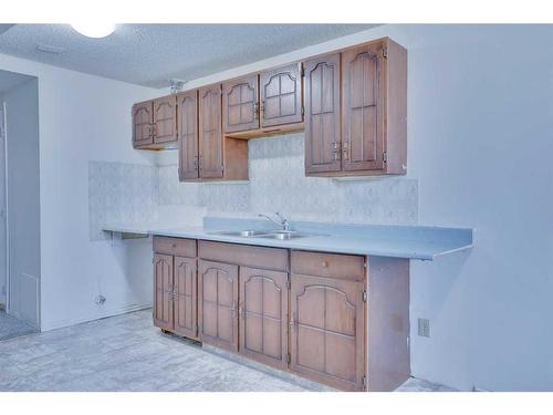 55 Falbury Crescent Ne, Calgary, AB - Indoor Photo Showing Kitchen With Double Sink