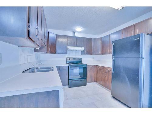 55 Falbury Crescent Ne, Calgary, AB - Indoor Photo Showing Kitchen With Double Sink