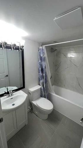 1402 4 Street Nw, Calgary, AB - Indoor Photo Showing Bathroom