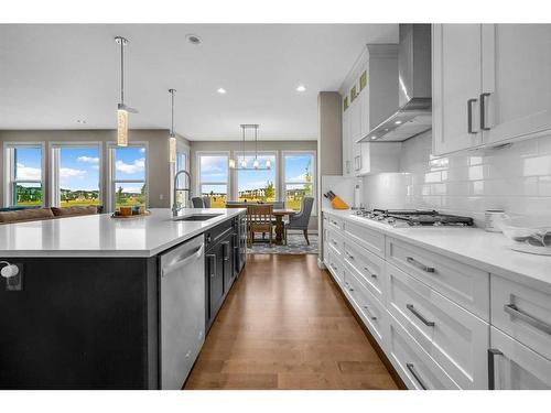 134 Red Sky Green Ne, Calgary, AB - Indoor Photo Showing Kitchen With Upgraded Kitchen