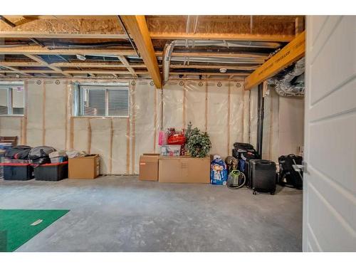 134 Red Sky Green Ne, Calgary, AB - Indoor Photo Showing Basement