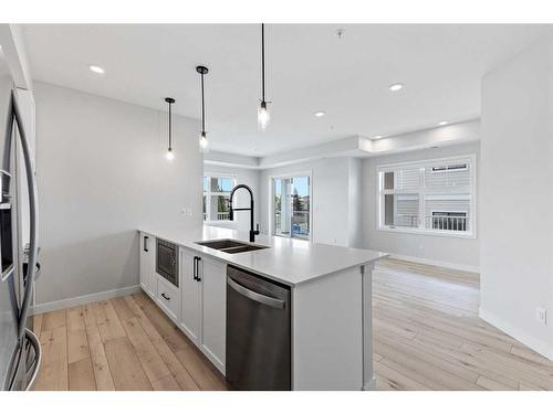 201-255 Les Jardins Park Se, Calgary, AB - Indoor Photo Showing Kitchen With Double Sink With Upgraded Kitchen