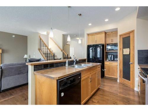 40 Copperstone Gate Se, Calgary, AB - Indoor Photo Showing Kitchen With Double Sink