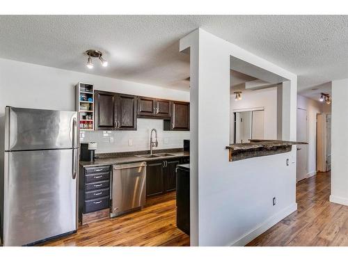 305-2503 17 Street Sw, Calgary, AB - Indoor Photo Showing Kitchen With Double Sink