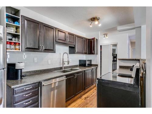 305-2503 17 Street Sw, Calgary, AB - Indoor Photo Showing Kitchen With Double Sink