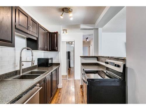 305-2503 17 Street Sw, Calgary, AB - Indoor Photo Showing Kitchen With Double Sink