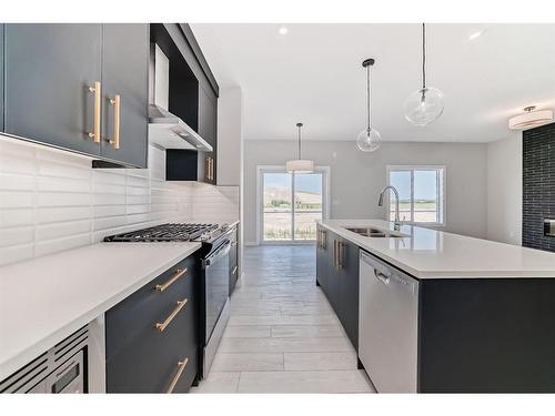 544 Walgrove Boulevard Se, Calgary, AB - Indoor Photo Showing Kitchen With Stainless Steel Kitchen With Double Sink With Upgraded Kitchen