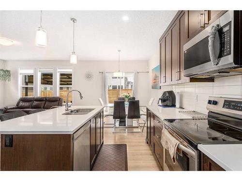 1167 Copperfield Boulevard Se, Calgary, AB - Indoor Photo Showing Kitchen With Double Sink With Upgraded Kitchen