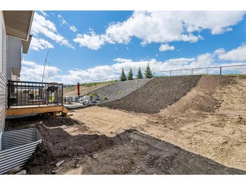 20 Willow Park Point, Cochrane, AB - Outdoor