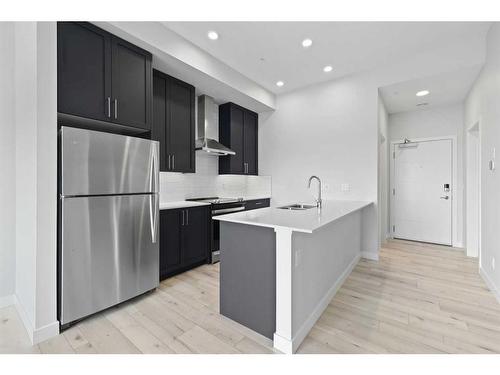 419-255 Les Jardins Park Se, Calgary, AB - Indoor Photo Showing Kitchen With Stainless Steel Kitchen With Upgraded Kitchen